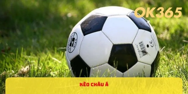 Kèo Châu Á Tại Ok365 - Bí Quyết Thắng Kèo Tới 99% Năm 2024